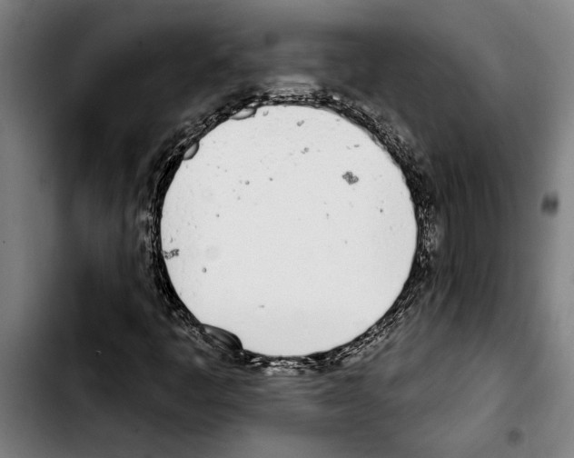 X0000103401445200810241000