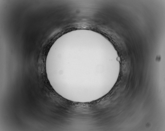 X0000103401446200810241000