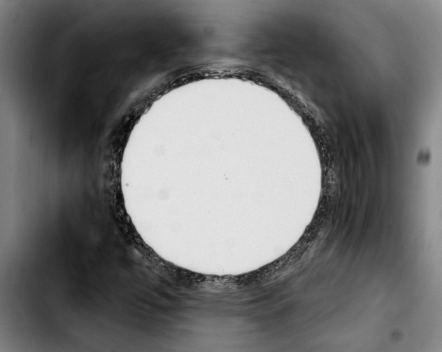 X0000103401447200810241000