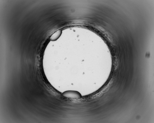 X0000103401449200810241000