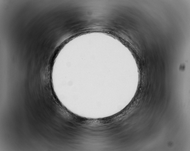 X0000103401450200810241000