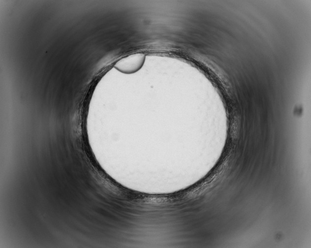 X0000103401451200810241000