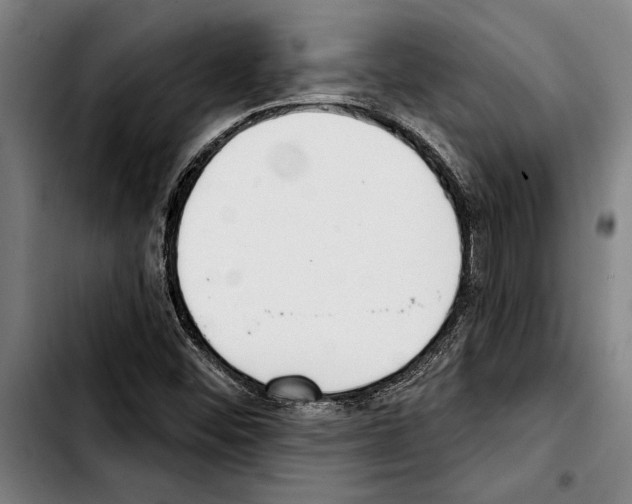 X0000103401452200810241000