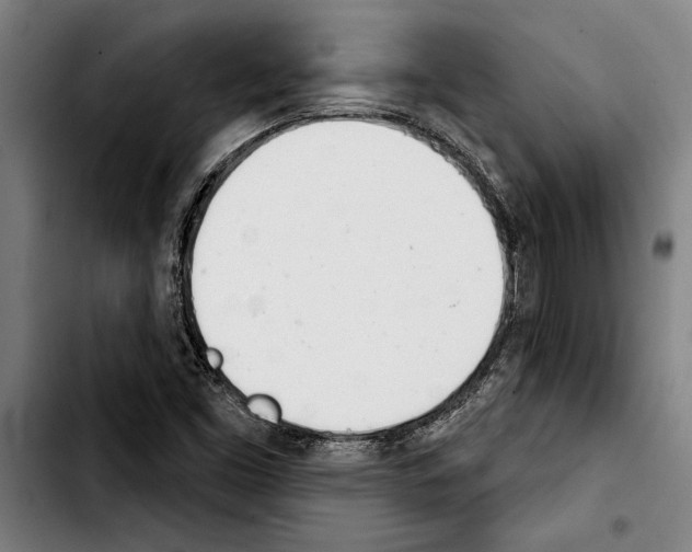 X0000103401453200810241000