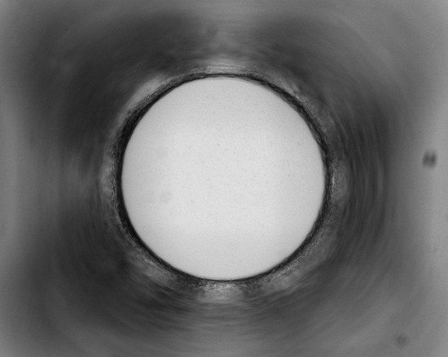 X0000103401454200810240959