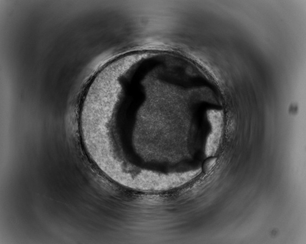 X0000103401455200810240959