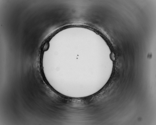 X0000103401456200810240959