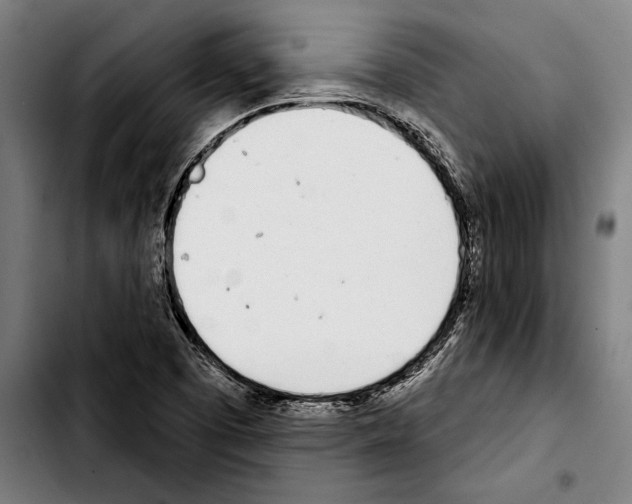 X0000103401457200810240959