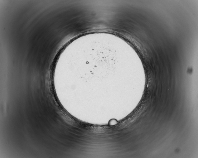 X0000103401458200810240959