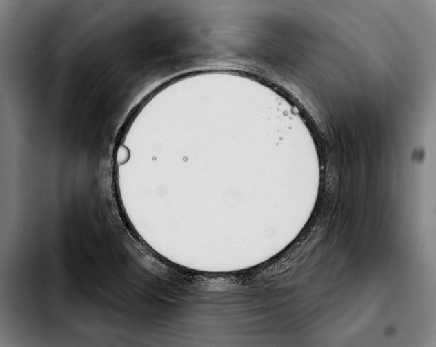 X0000103401460200810240959