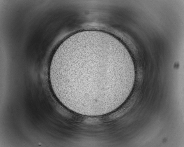 X0000103401462200810240959