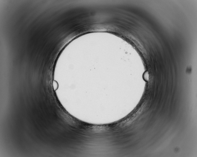 X0000103401465200810240959