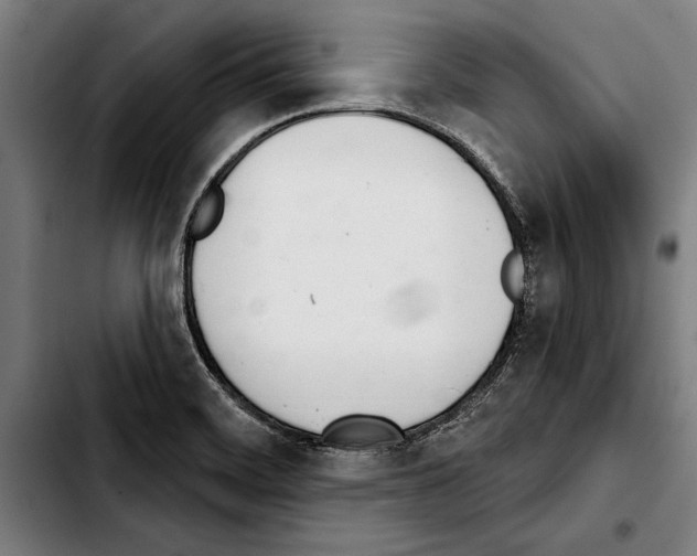 X0000103401468200810240959