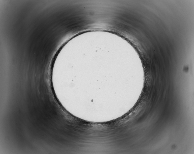 X0000103401469200810240959