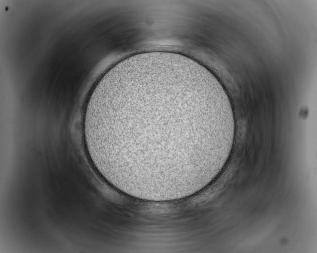 X0000103401470200810240959