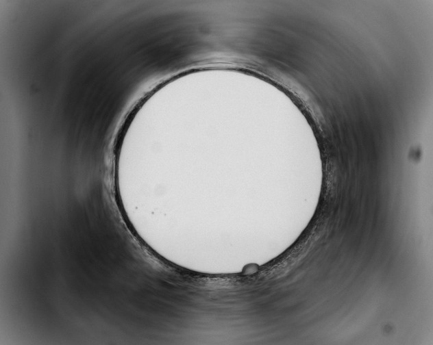 X0000103401472200810240959