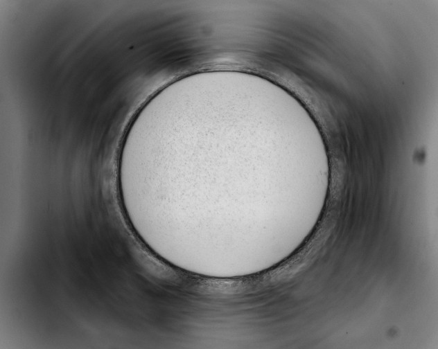 X0000103401474200810240959