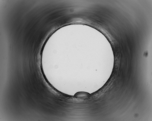 X0000103401476200810240959