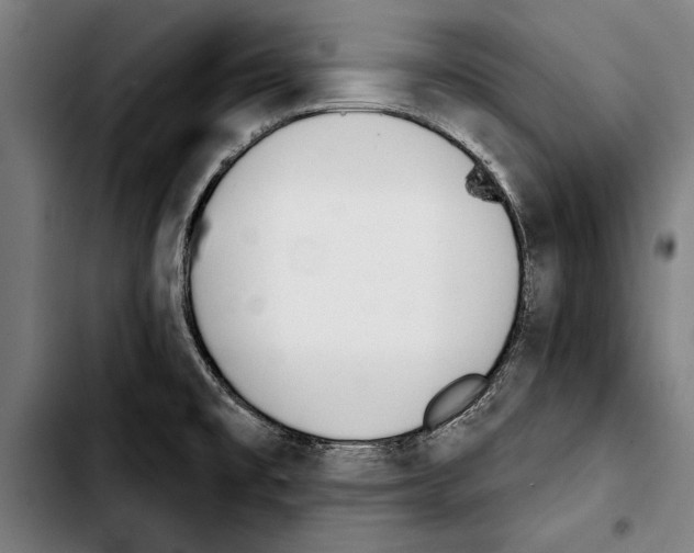 X0000103401477200810240959