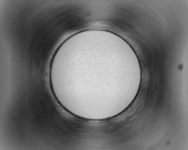 X0000103401478200810240959