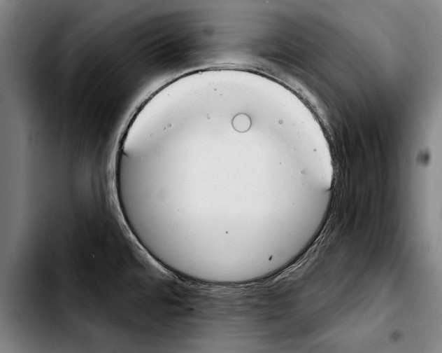 X0000103401480200810240959