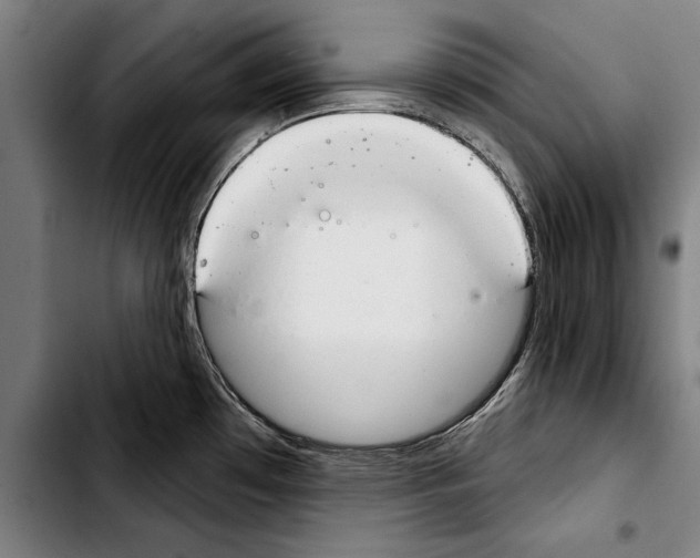 X0000103401481200810240959