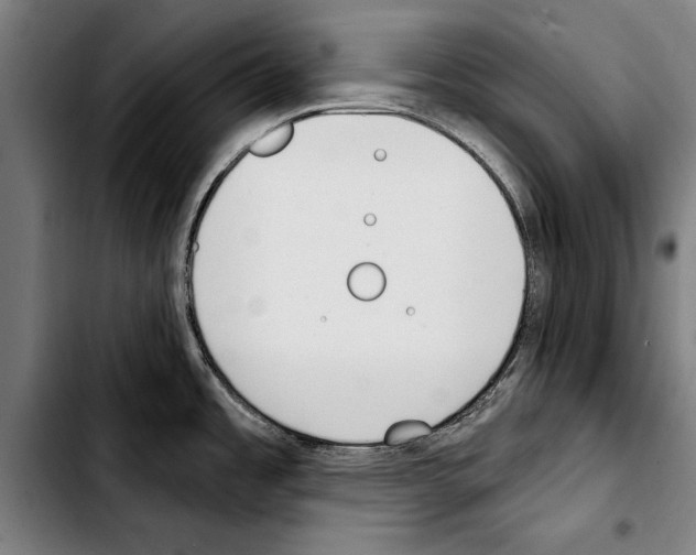 X0000103401485200810240959