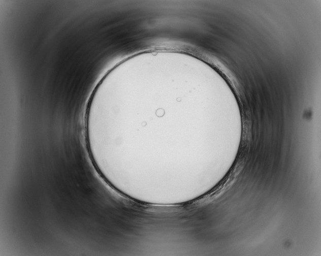 X0000103401487200810240959