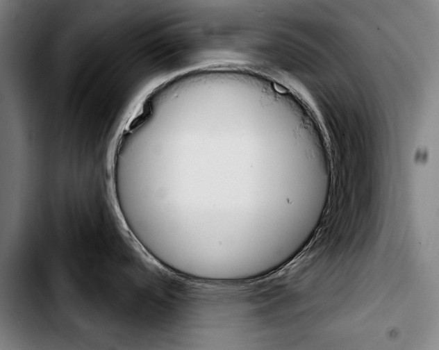 X0000103401488200810240959