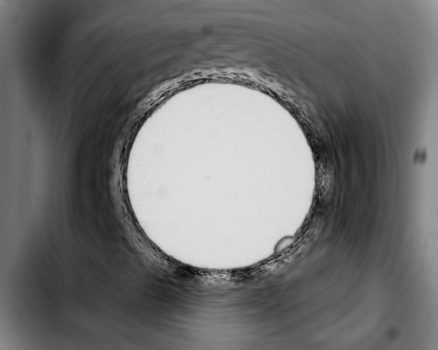 X0000103401489200810240958