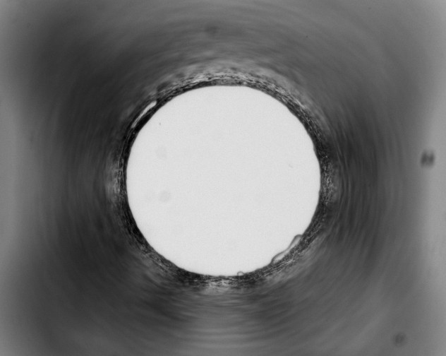 X0000103401490200810240958