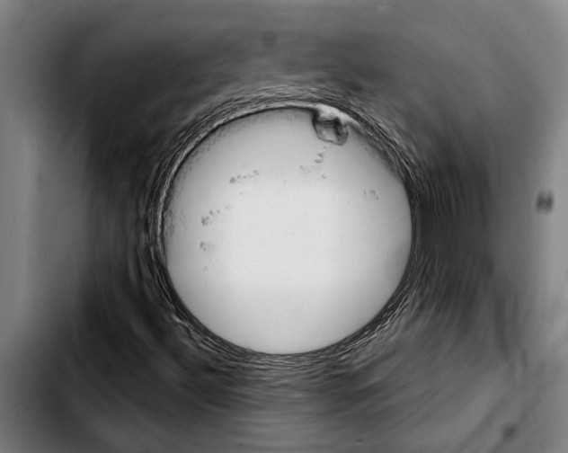 X0000103401492200810240958