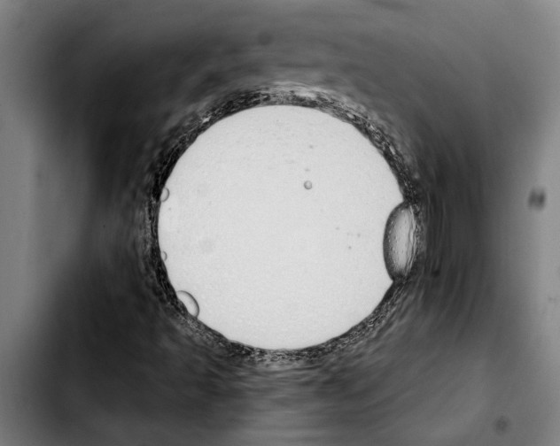 X0000103401493200810240958