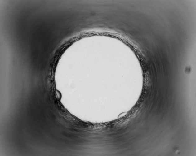 X0000103401494200810240958