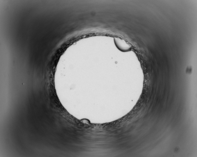 X0000103401495200810240958