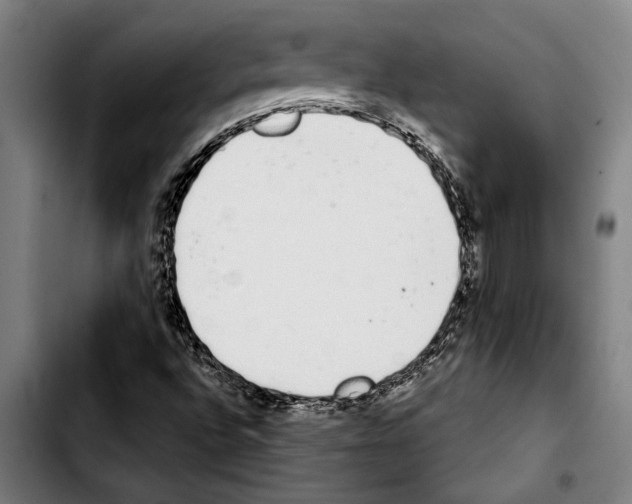 X0000103401496200810240958