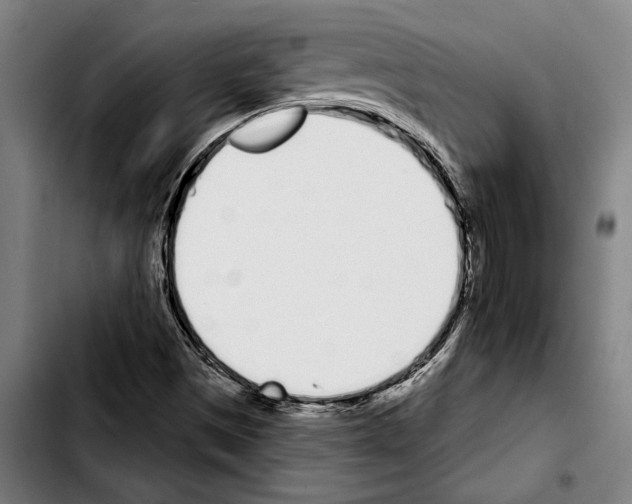 X0000103401497200810240958