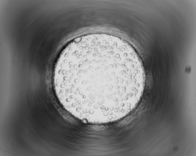 X0000103401499200810240958