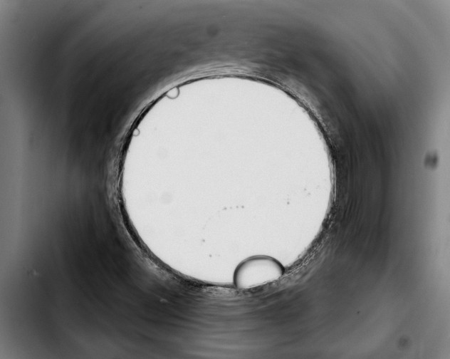 X0000103401500200810240958