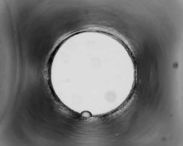 X0000103401501200810240958