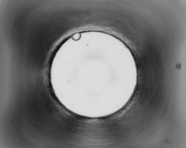 X0000103401502200810240958