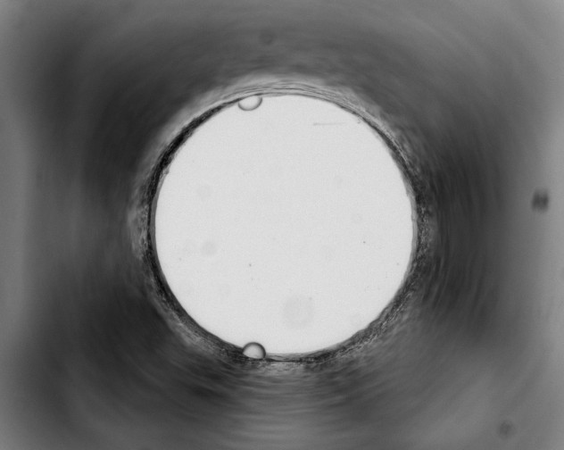 X0000103401503200810240958