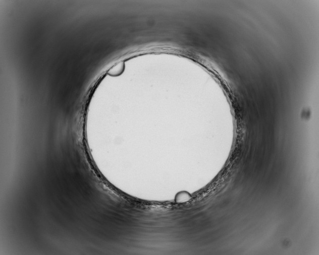 X0000103401504200810240958