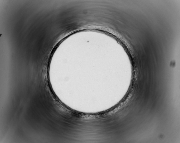 X0000103401505200810240958