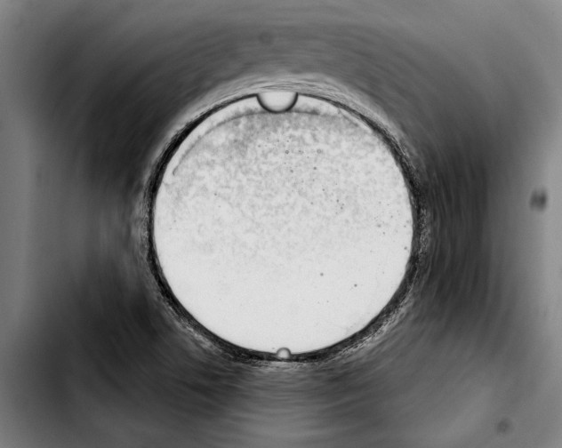 X0000103401506200810240958