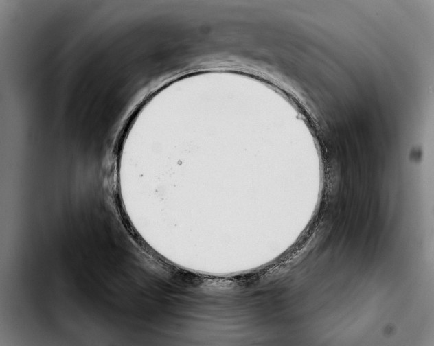 X0000103401509200810240958