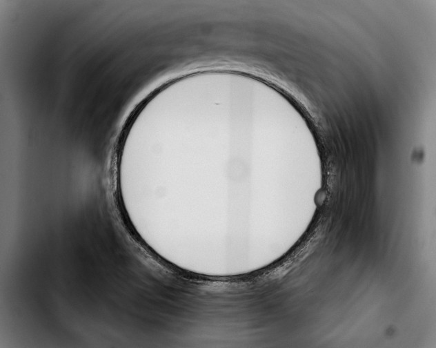 X0000103401510200810240958