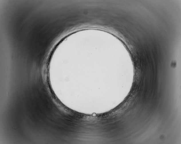 X0000103401511200810240958