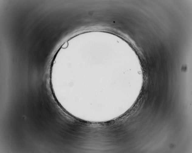 X0000103401512200810240958