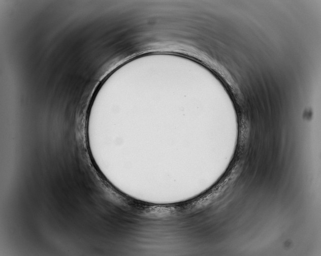 X0000103401513200810240959